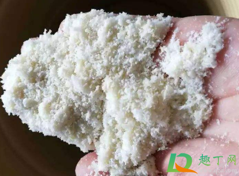 豆渣拌在土里能种花吗1