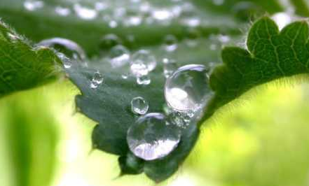 梅雨期每天都下雨吗1