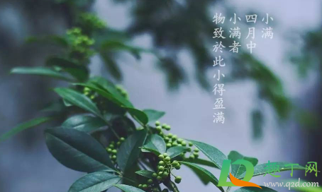 小满节气几点几分20221