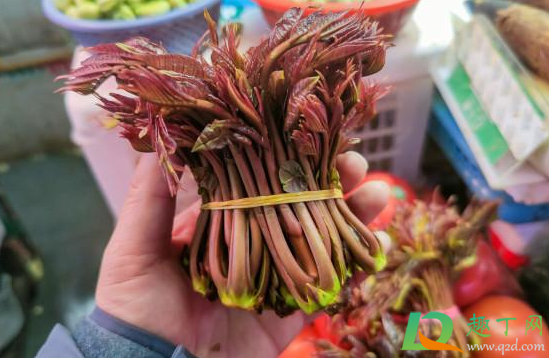 香椿没烫就吃了怎么办1