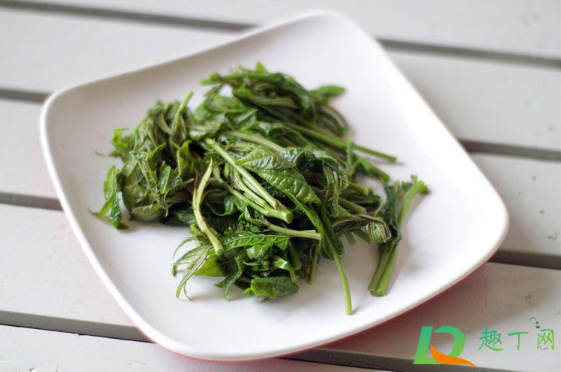 香椿不焯水直接用盐揉行吗1