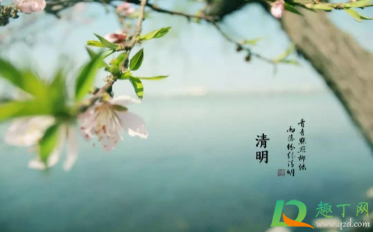 清明女儿上坟还是儿子上坟1