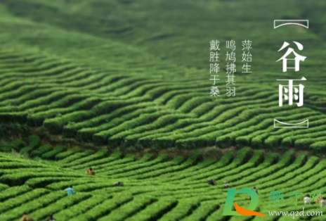 2021谷雨是哪一天几点1