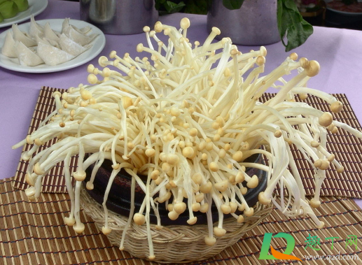 金针菇菌包能出几次金针菇1