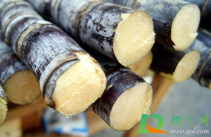 削皮的甘蔗可以冷冻吗1