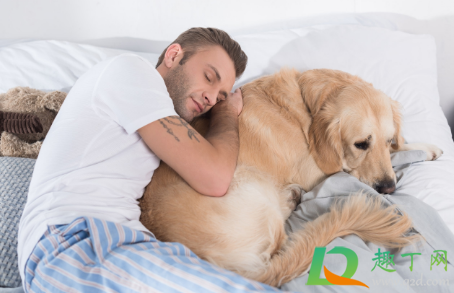 打呼噜的人睡眠质量好吗1