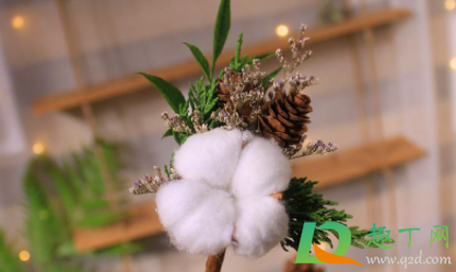 干花送人合适吗1