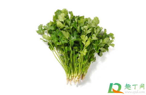 打新冠疫苗可以吃香菜吗1