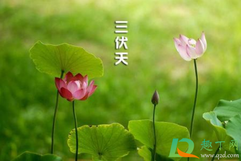 2021年几月几号入伏到几号结束1