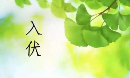 2021入伏就是出梅了吗1