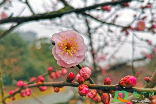 躲春可以洗澡吗1