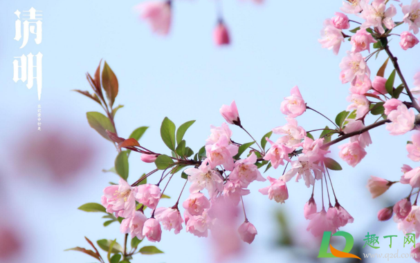 清明节晴天有什么说法1