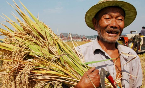 粮食补贴几月份发放1