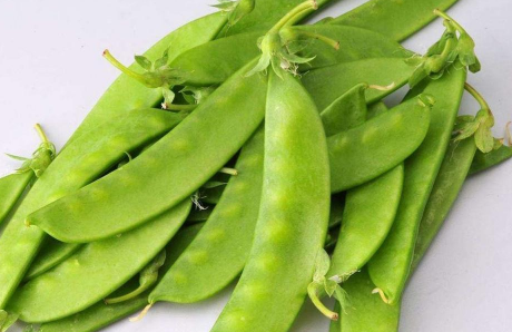 荷兰豆长大了就叫豌豆吗1