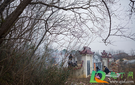 清明节上坟贡品是摆供着好还是扔在地上好1