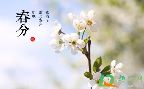 2021年春分是几九1