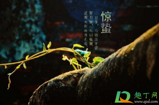 惊蛰前打雷是什么意思1