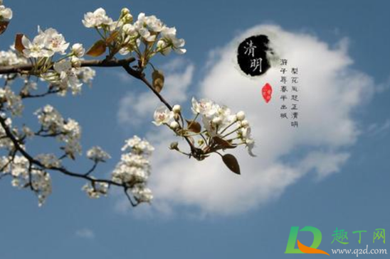 2021年清明节天气好不好1