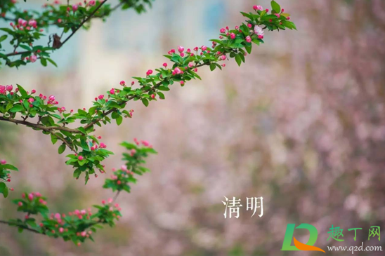 2021年清明节会受疫情影响吗1