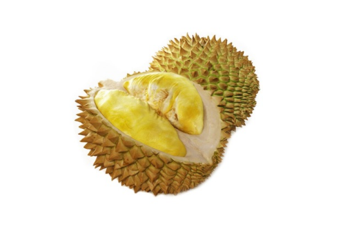 榴莲鼓大包好吗1