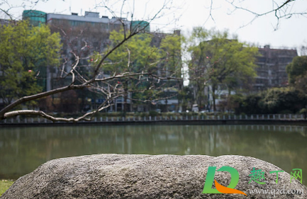 今年春分为什么不是3月21日1