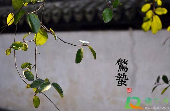 2021惊蛰是好日子吗1