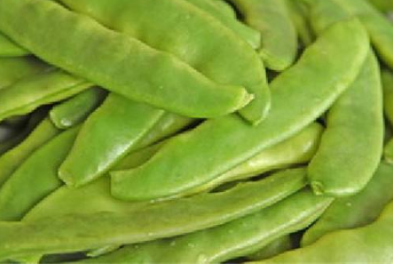 扁豆种植时间在什么时候1