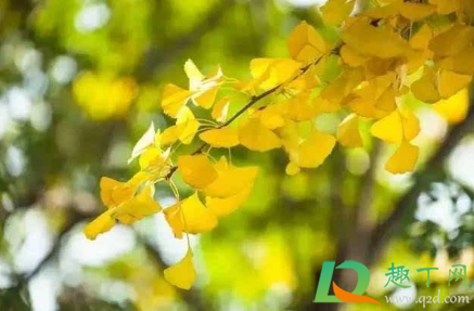 2021立秋以后天气会转凉吗1