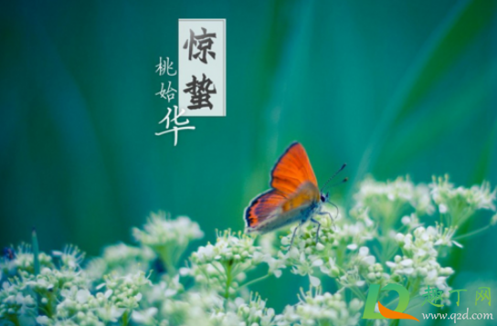 惊蛰是九九最后一天吗1