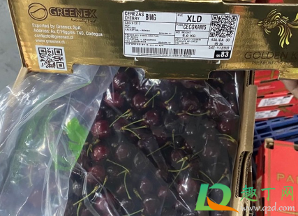 bing车厘子是什么品种1