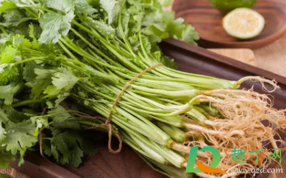香菜可以连根一起吃吗1