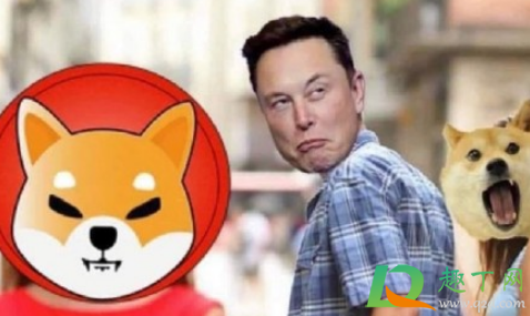 shib是马斯克推荐买的吗1