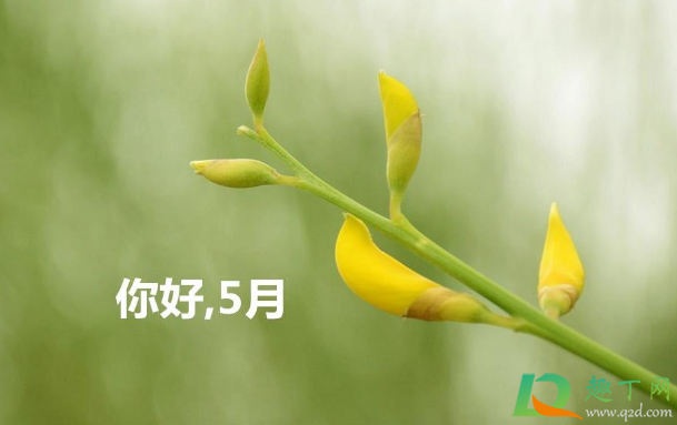 2021年5月有多少个工作日1
