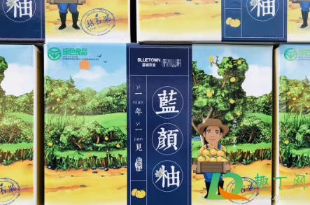 蓝颜柚孕妇可以吃吗2