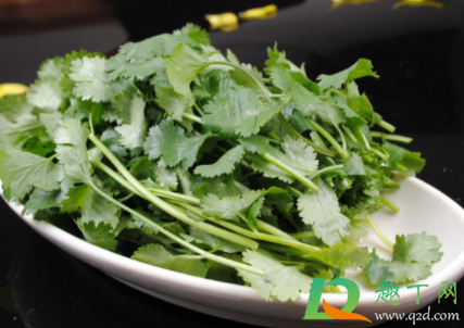 香菜可以连根一起吃吗2