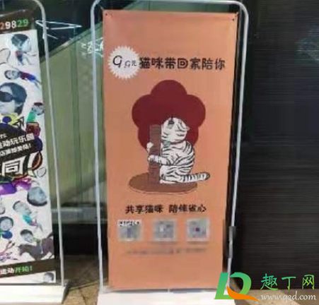 共享猫咪怎么收费2