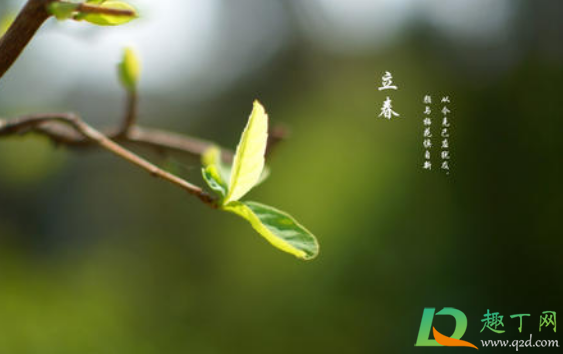 躲春白天可以出门吗2