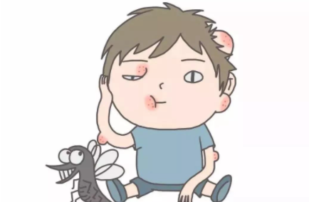 蚊子的寿命有多长最多能活多久2