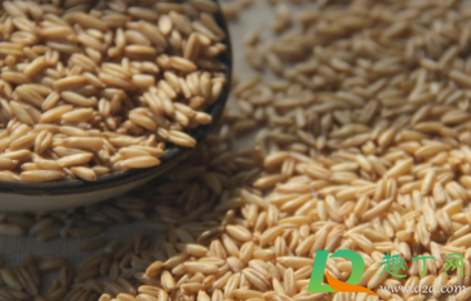燕麦米怎么做饭吃2