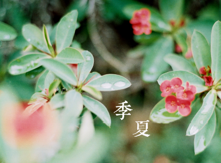 季夏是夏天最热的时候吗2