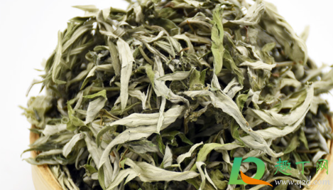 艾叶治好了我严重胃病真的假的2