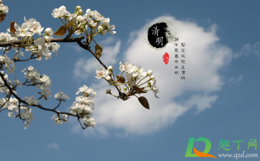 清明节上坟提前还是延后好2