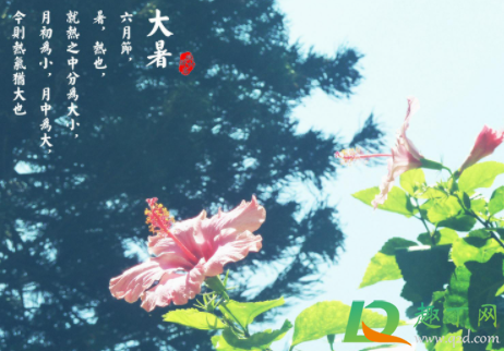 大暑是中伏天吗20212
