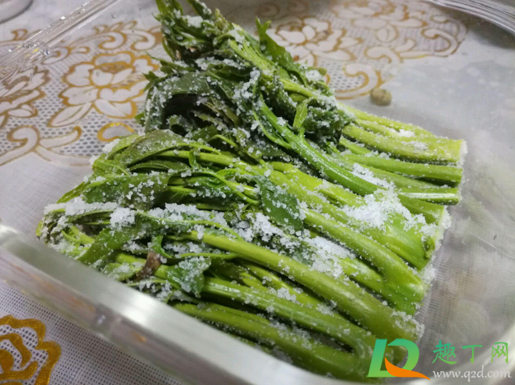 腌香椿放多少盐好2
