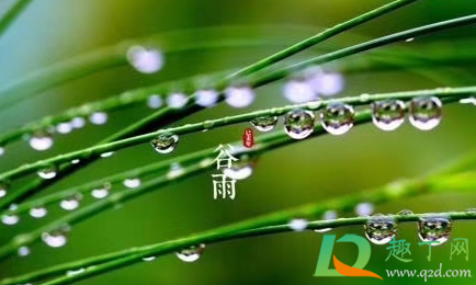 2021年谷雨前后冷吗2