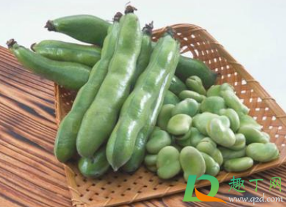 蚕豆能五月份种植吗2