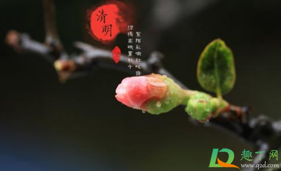 清明节扫墓带的东西烧完后能带回来吗2