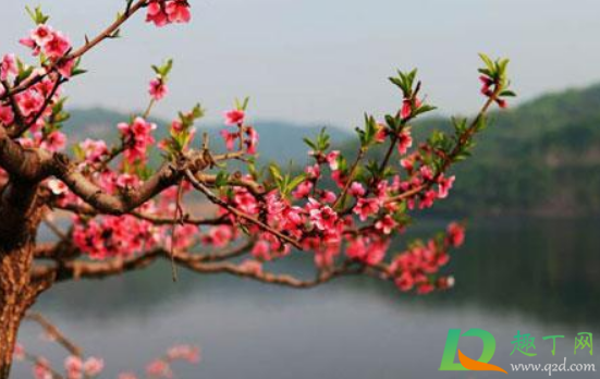 2021年清明节可以立墓碑吗2
