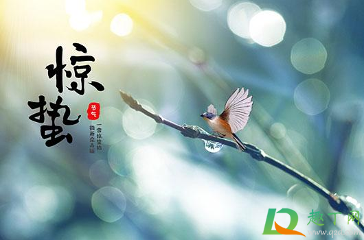 惊蛰前上新坟还是惊蛰后上新坟2