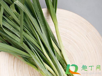 蒜苗剪了还长吗怎样剪2